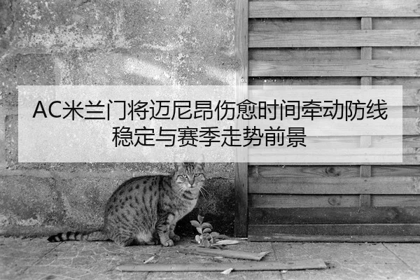 AC米兰门将迈尼昂伤愈时间牵动防线稳定与赛季走势前景